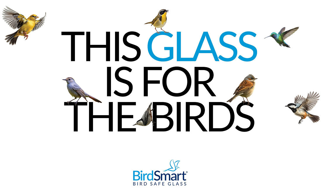 This glass is for the birds